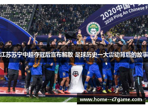 江苏苏宁中超夺冠后宣布解散 足球历史一大震动背后的故事 江苏苏宁中超夺冠后宣布解散 足球历史一大震动背后的故事