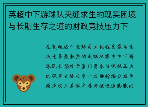 英超中下游球队夹缝求生的现实困境与长期生存之道的财政竞技压力下
